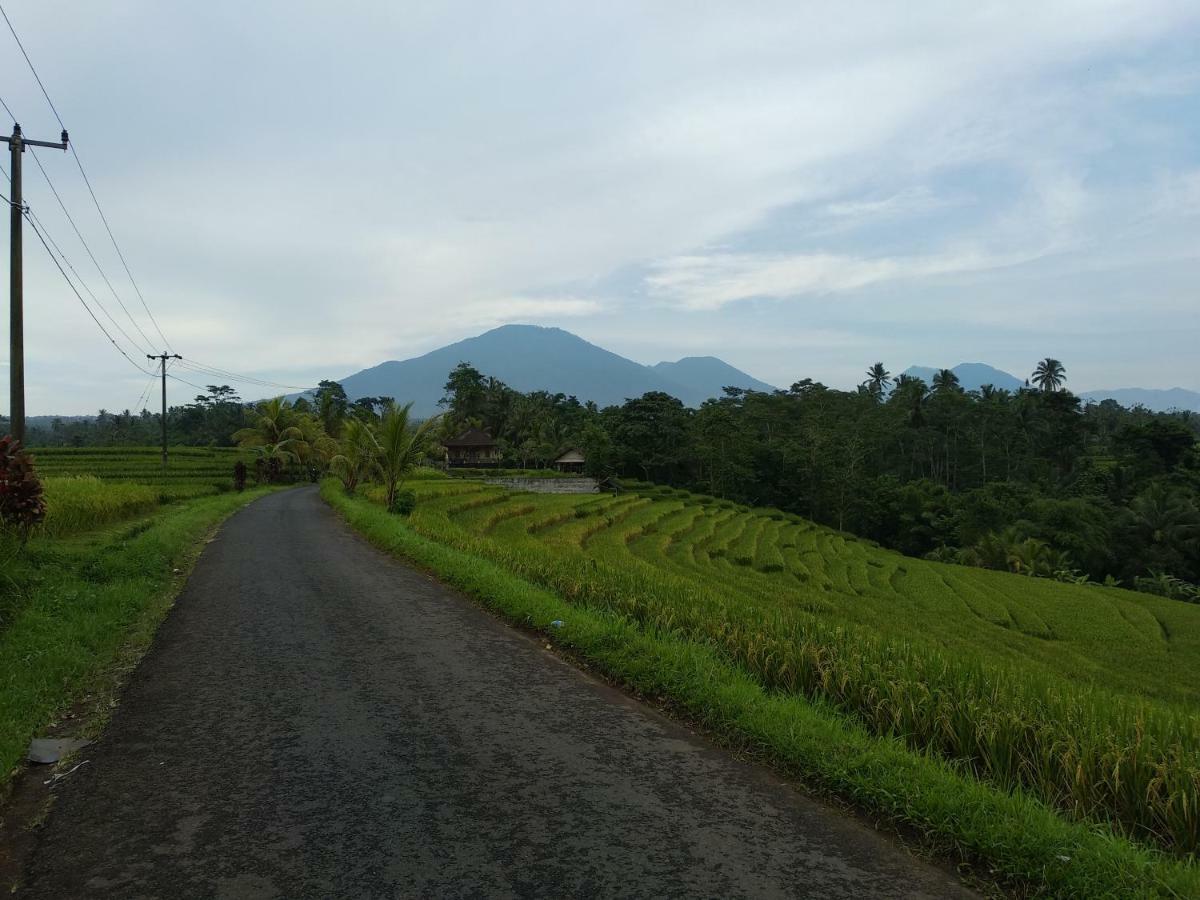 Buana Asti Homestay Tabanan  Exterior photo